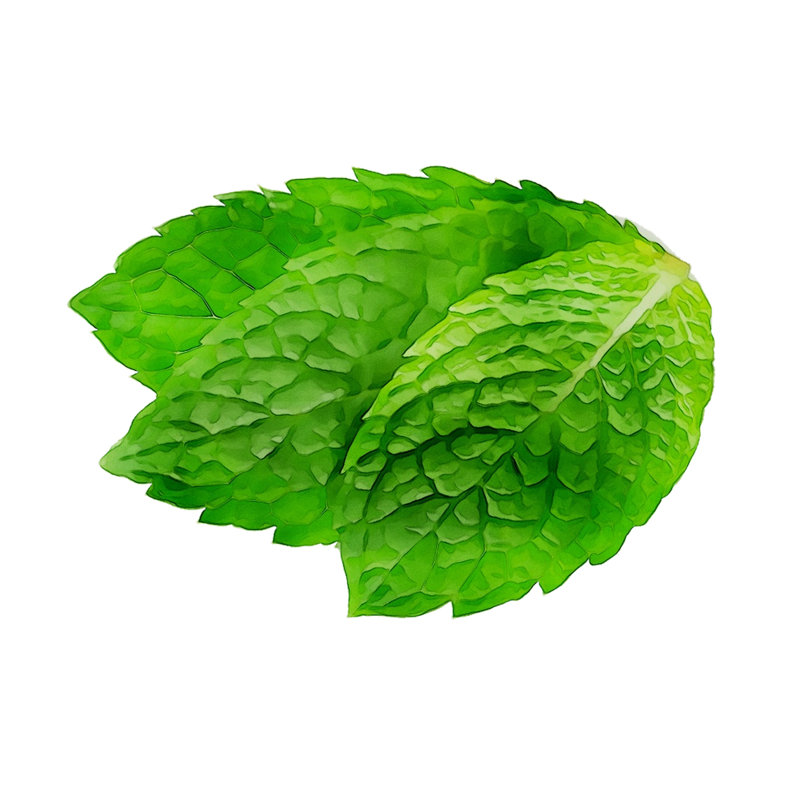 A78d43132adf4bb2b5c32943f6126fcf